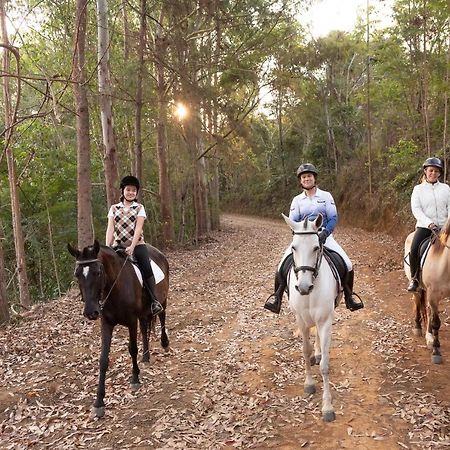 Haras Morena Resort Juiz de Fora Esterno foto